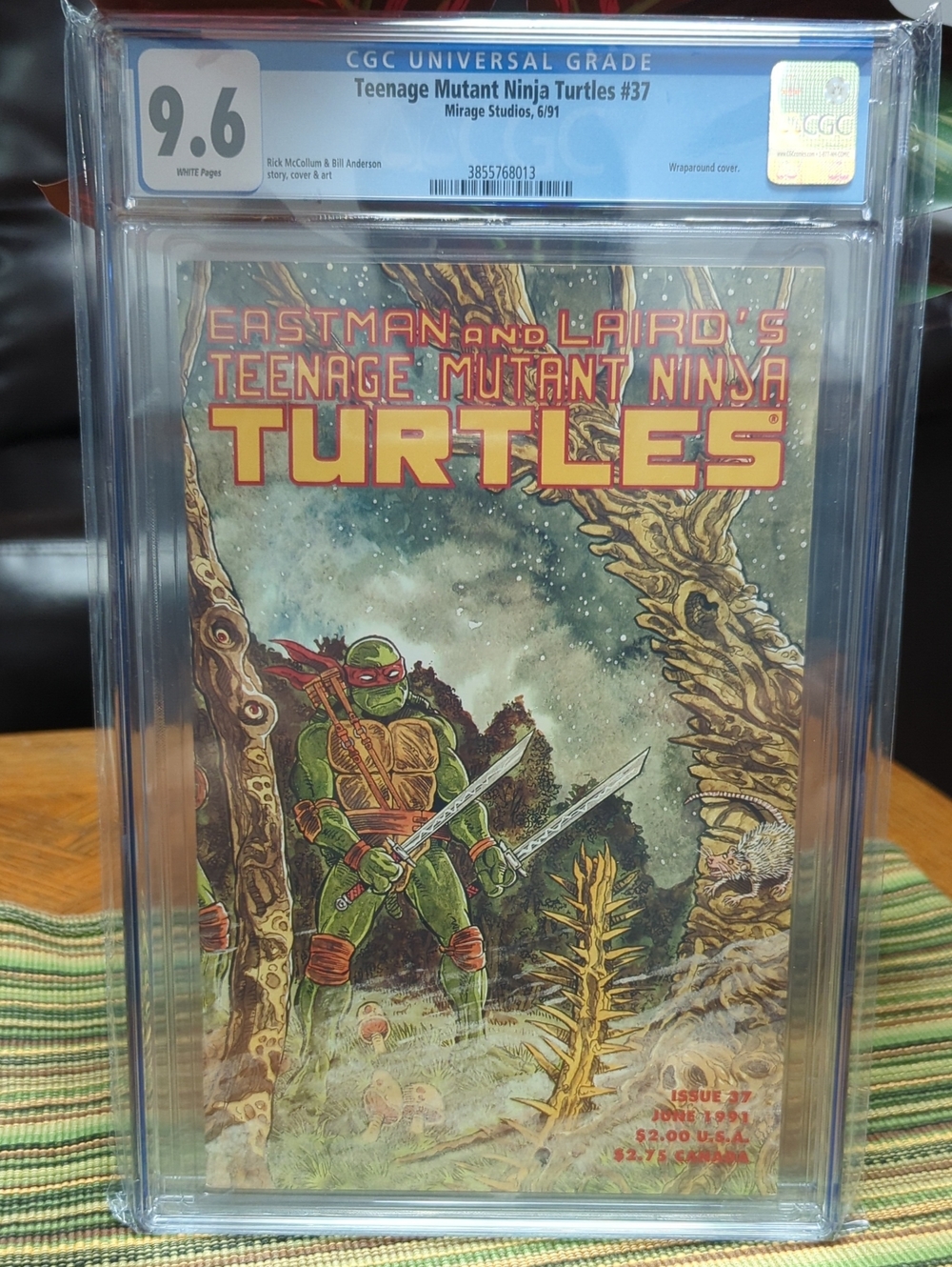 DC Comics Teenage Mutant Ninja Turtles Cover - Green & Red